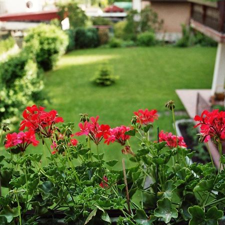 Ferienwohnungen Im Herzen Des Pfaelzerwaldes Elmstein Exteriör bild