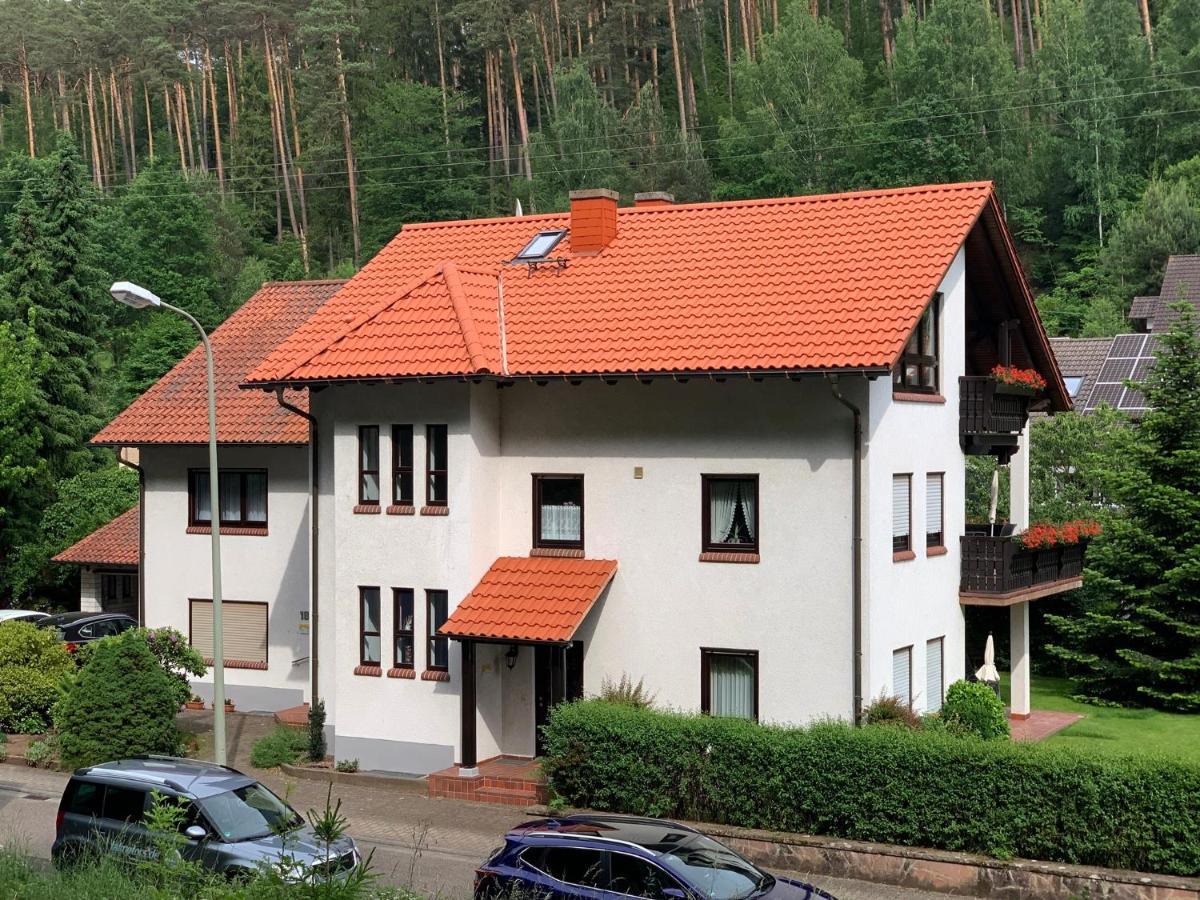 Ferienwohnungen Im Herzen Des Pfaelzerwaldes Elmstein Exteriör bild