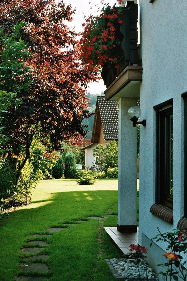 Ferienwohnungen Im Herzen Des Pfaelzerwaldes Elmstein Exteriör bild