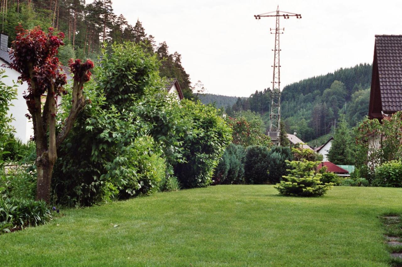 Ferienwohnungen Im Herzen Des Pfaelzerwaldes Elmstein Exteriör bild