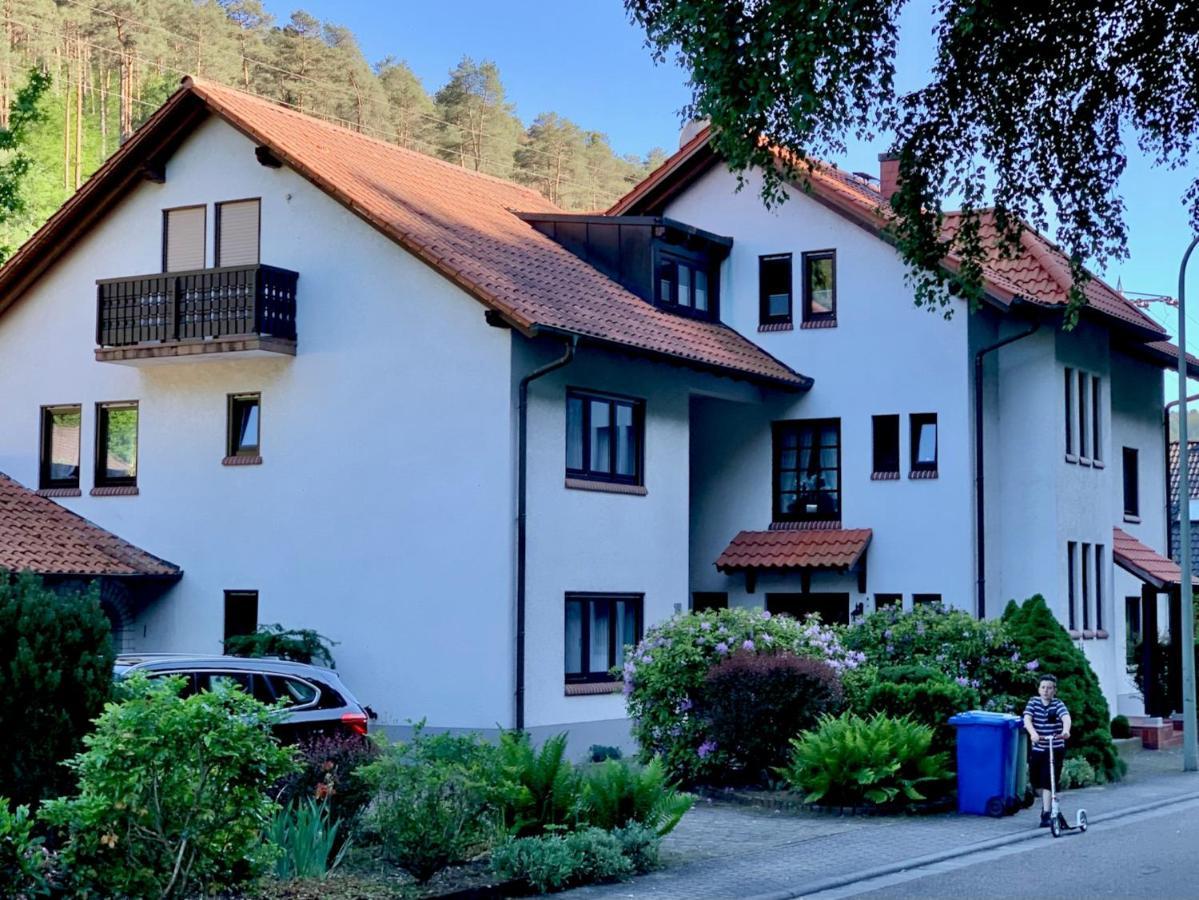 Ferienwohnungen Im Herzen Des Pfaelzerwaldes Elmstein Exteriör bild