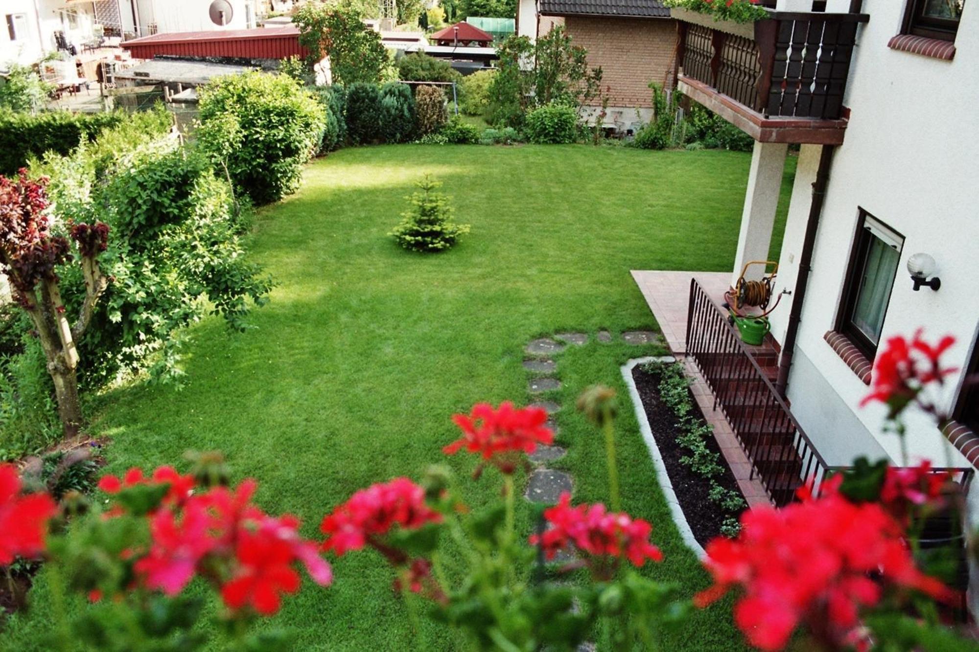 Ferienwohnungen Im Herzen Des Pfaelzerwaldes Elmstein Rum bild